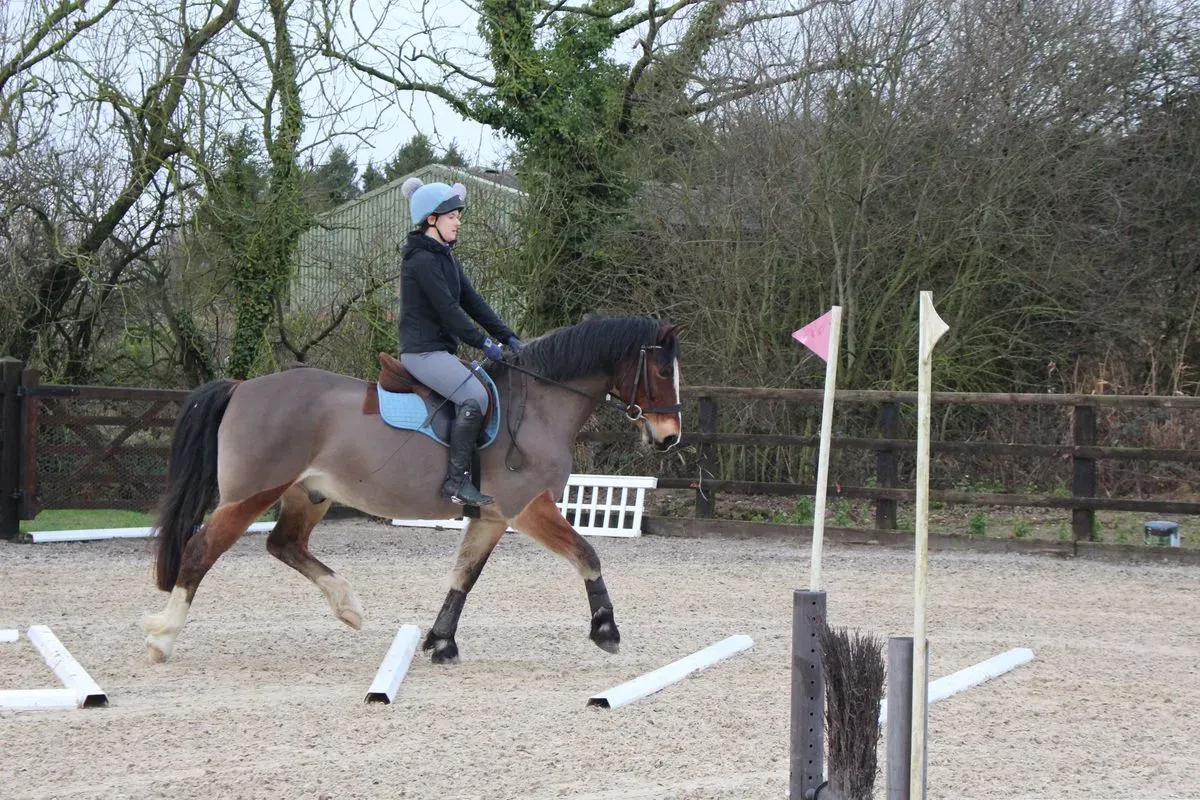 8225628538819-jfv828m7rfg6xgcdhou8b-IMG-9301 thumbnail image