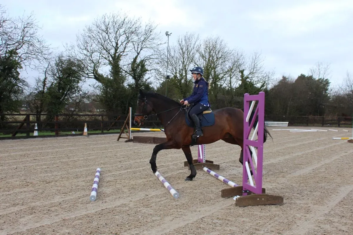 8225628614301-o6tj1cfpx1x4ozucje57-IMG-9289 thumbnail image