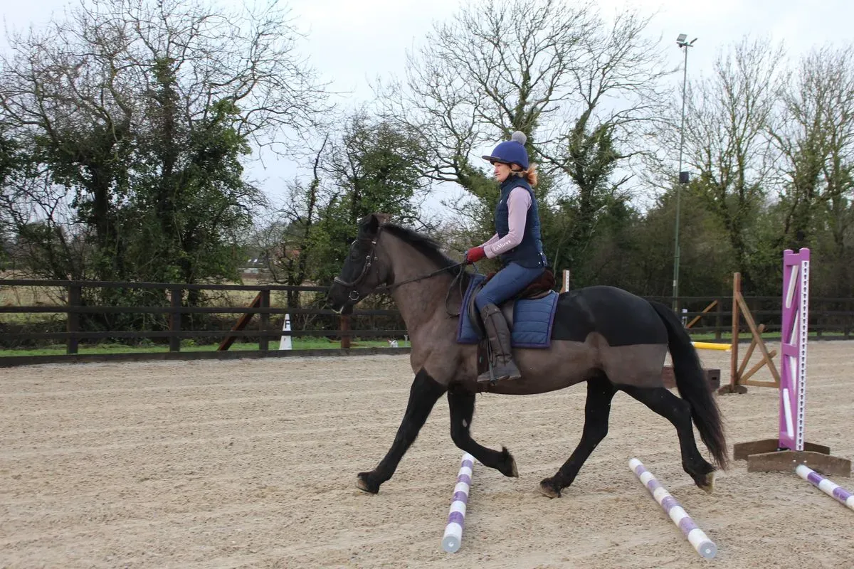 8225628843282-bcemxpl1d92674gwxnz0hi-IMG-9287 thumbnail image