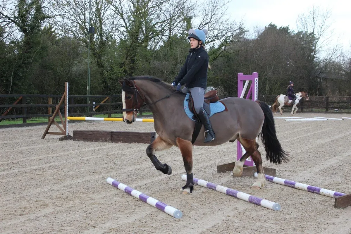 8225628919016-tsw3u0bzz4b978o431bs8v-IMG-9272 thumbnail image