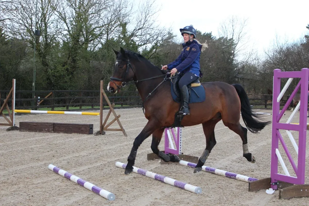 8225629053855-a7jlnbgcshvmnn4sb5j0qi-IMG-9269 thumbnail image