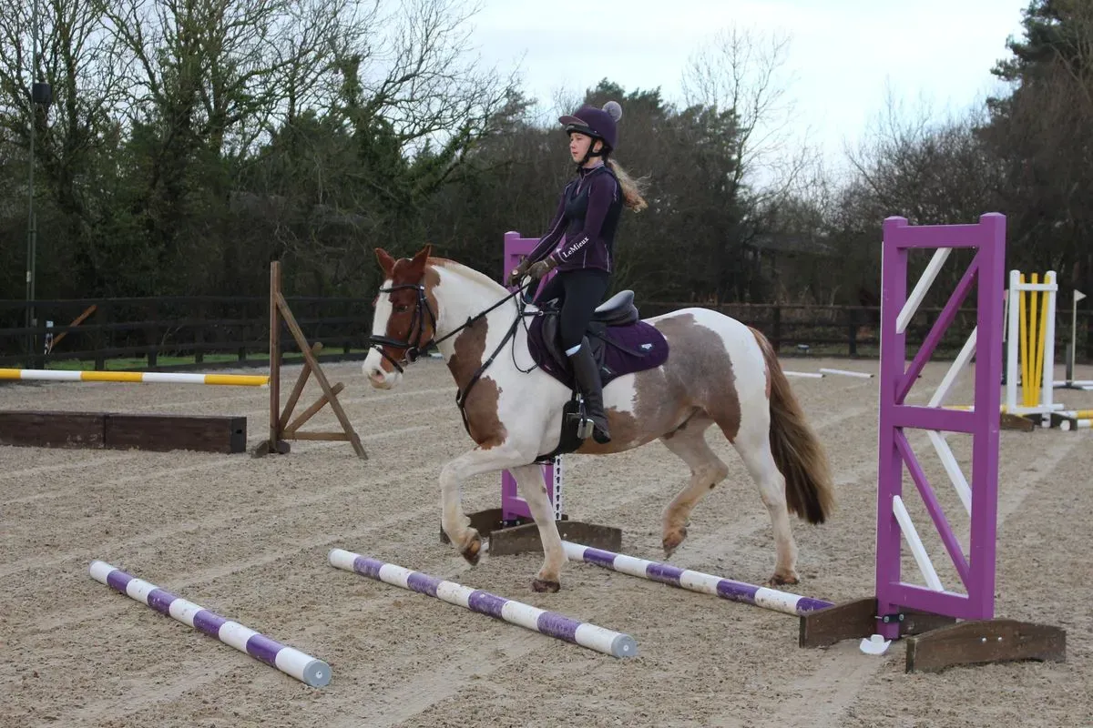 8225629090663-fjvyaz8e99q7q2rlh9ujkv-IMG-9268 thumbnail image