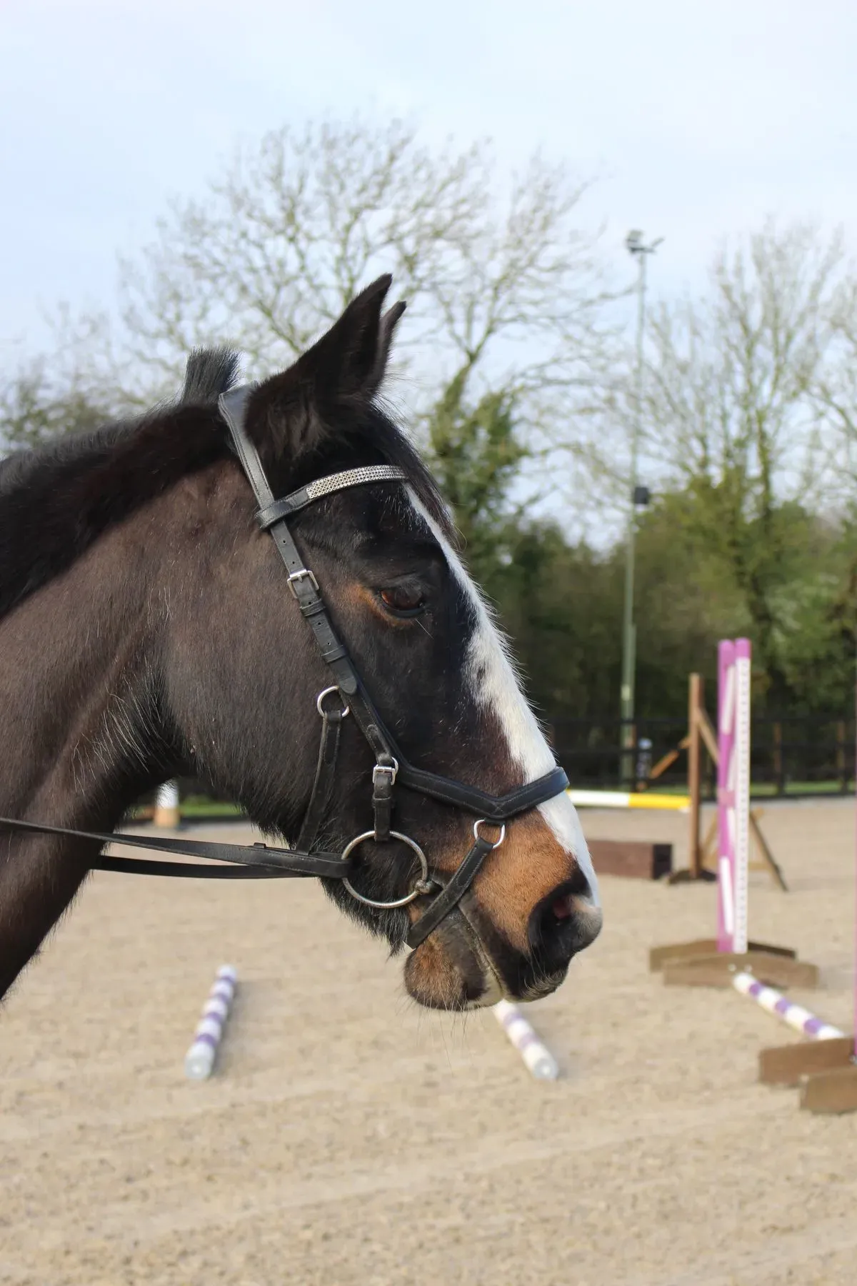 8225630268846-yn36yhgfov1byrn45flaq-IMG-9265 thumbnail image