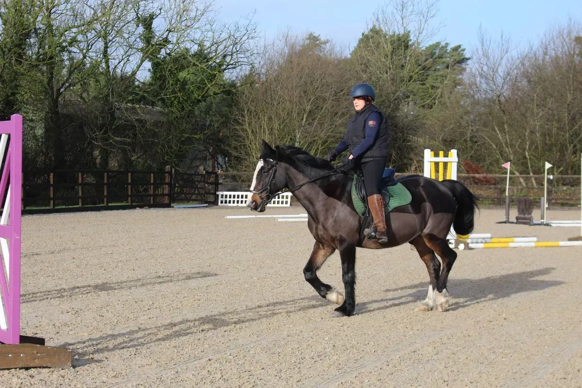 8225630411788-cyz85cv8jpc7vdw3de3isd-IMG-9246 thumbnail image