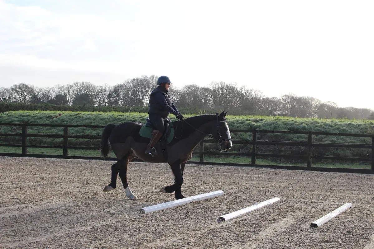 8225630446408-pbaquigtqehcgpag91mfcn-IMG-9242 thumbnail image