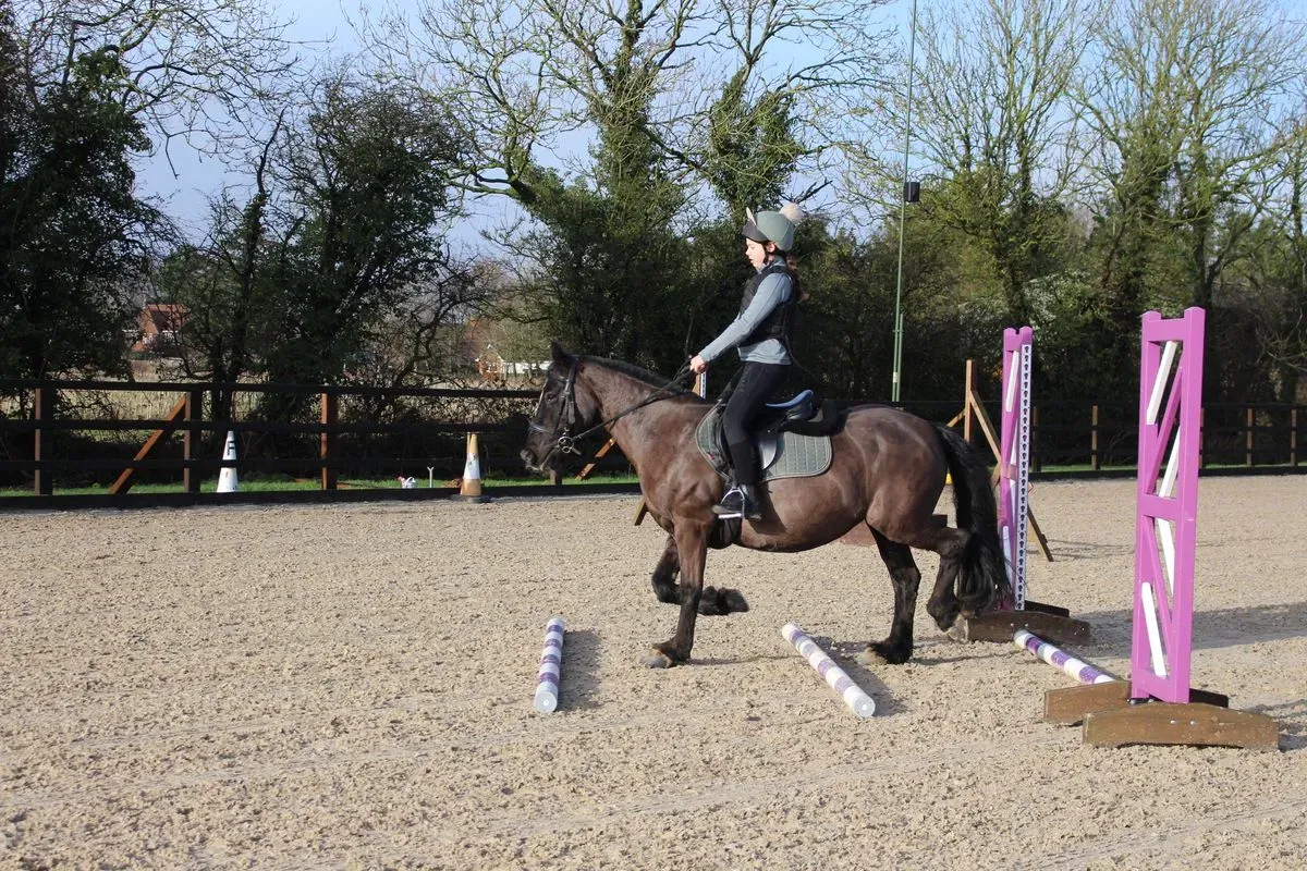 8225630471331-zruplns57bqgffxaub6ej-IMG-9235 thumbnail image