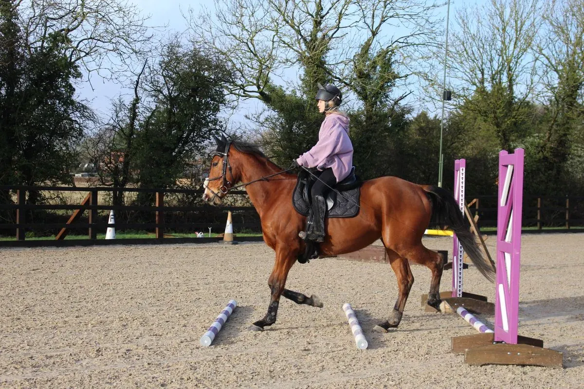 8225630573418-eq70tz5mn6rzewr2400q9p-IMG-9225 thumbnail image