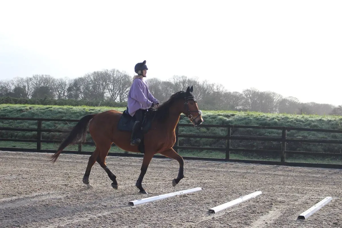 8225630687154-fa5j4g9iusrcmtlnnd9c5o-IMG-9219 thumbnail image