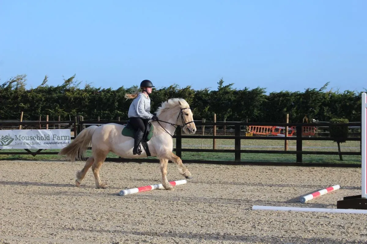 8225630747072-2x64bxl3fop7z6fpsadrsm-IMG-9208 thumbnail image