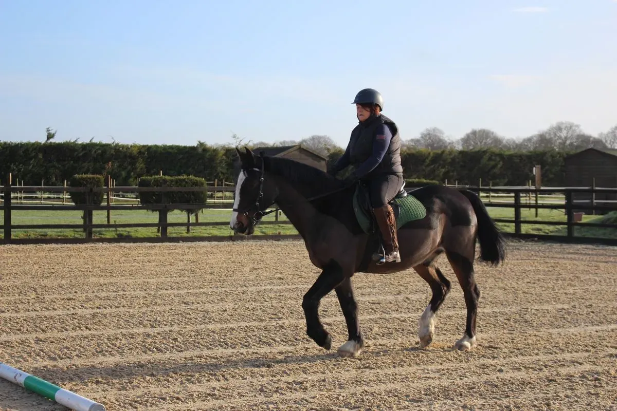 8225630817612-94ttlom8xg51tbdtoimv5n-IMG-9188 thumbnail image