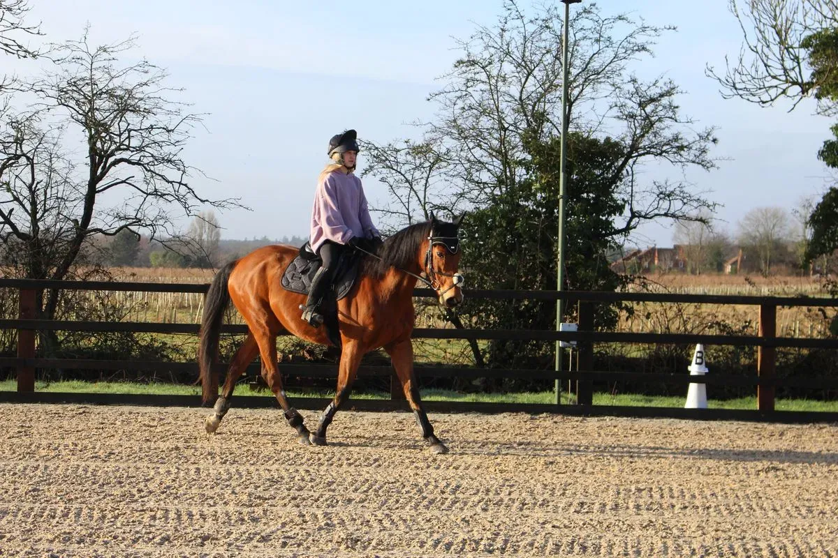 8225630857274-6jvdz2npxogwrokp4irjc-IMG-9168 thumbnail image