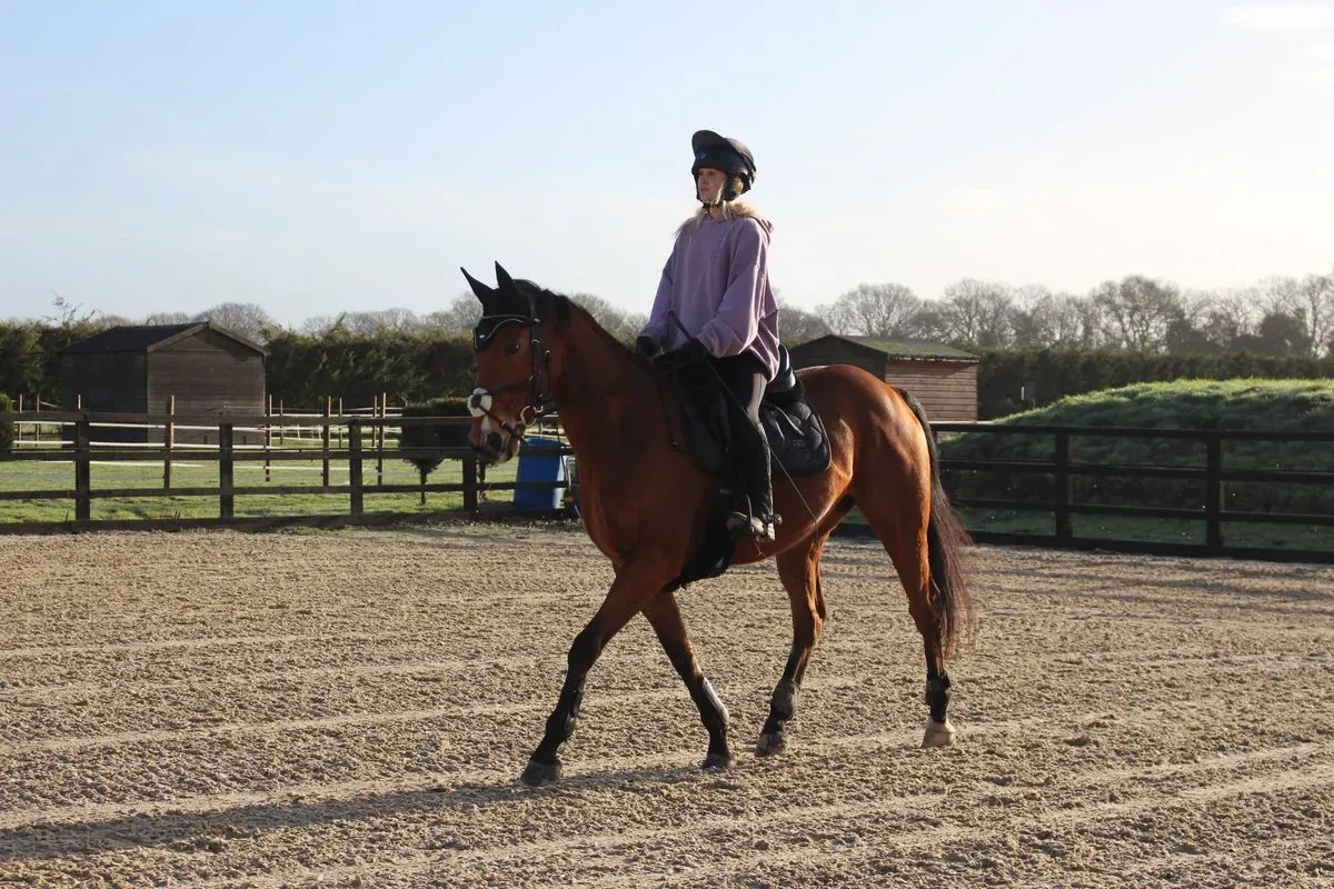 8225630889794-7nwujyz12uouy1y2ly7j3e-IMG-9162 thumbnail image