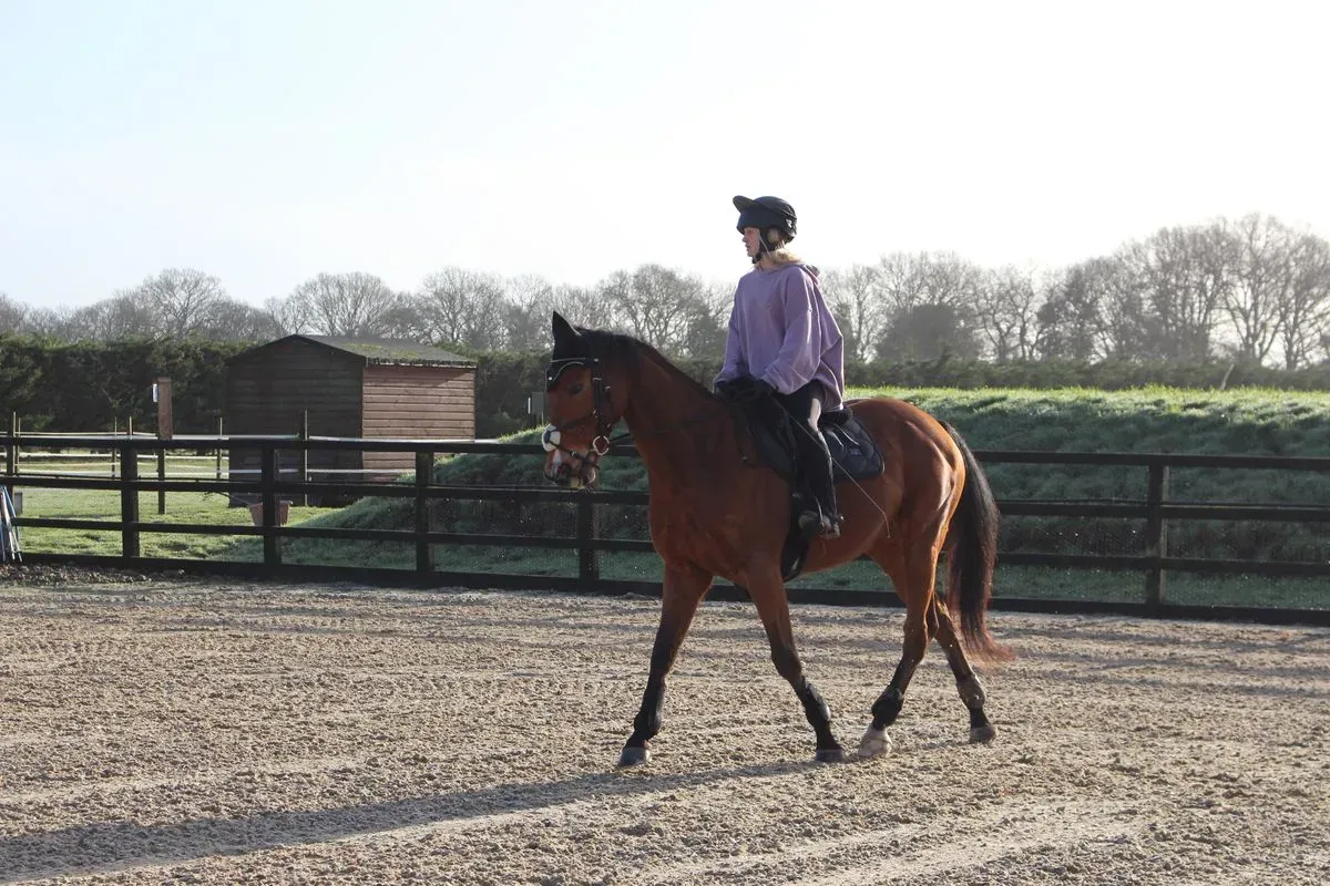 8225630924106-czevgmsoqfnzs3lvh2cwb-IMG-9161 thumbnail image