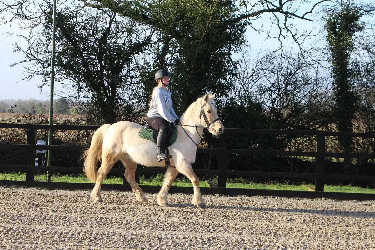 8225630958992-pl82j928cigtxrgkusizv-IMG-9146 thumbnail image