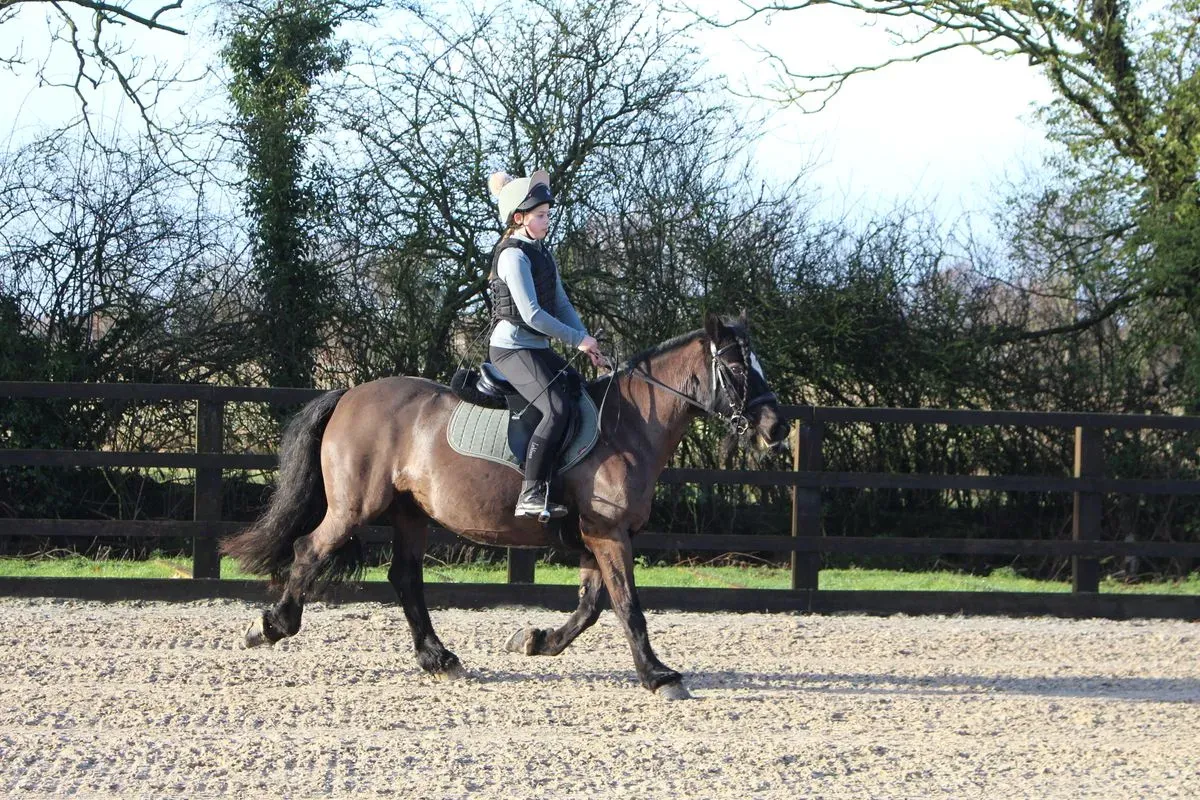 8225630987626-cfae2gb8rcjj5lg8jj9cle-IMG-9145 thumbnail image