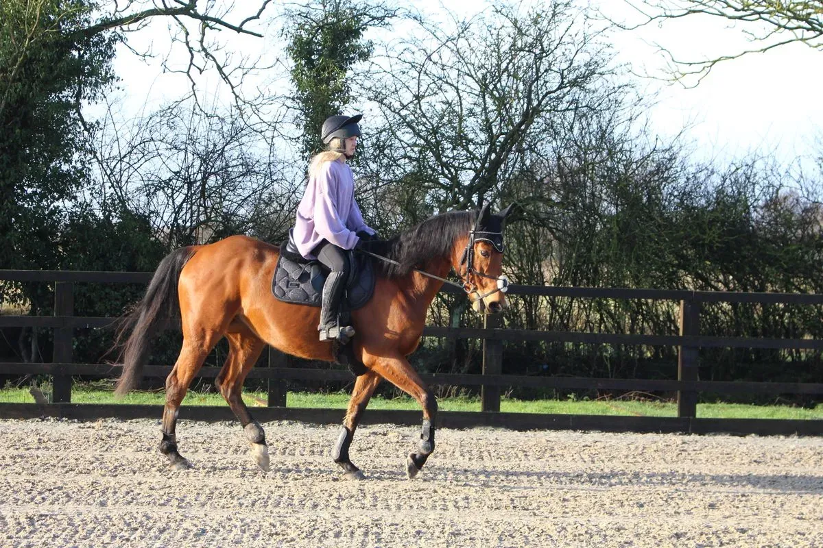 8225631025809-5domf2ykutgpsoxzas06u-IMG-9139 thumbnail image