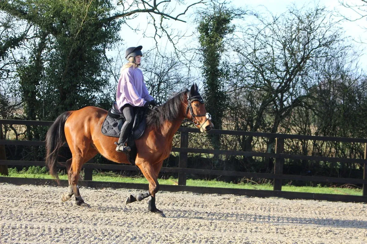 8225631089127-wkttl7wjfo9lx14kqzmc0h-IMG-9119 thumbnail image