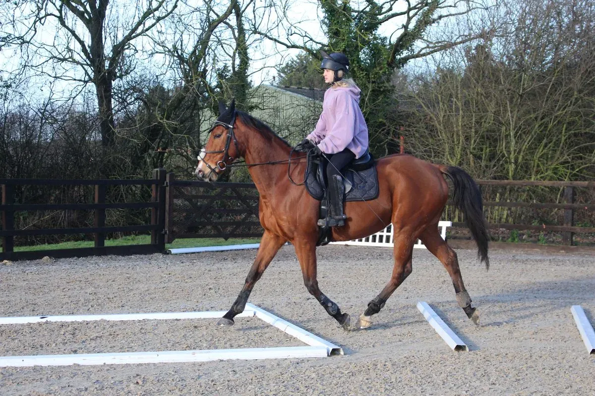 8225631244966-rbocrtpob5eqsgsf9d86y-IMG-9106 thumbnail image