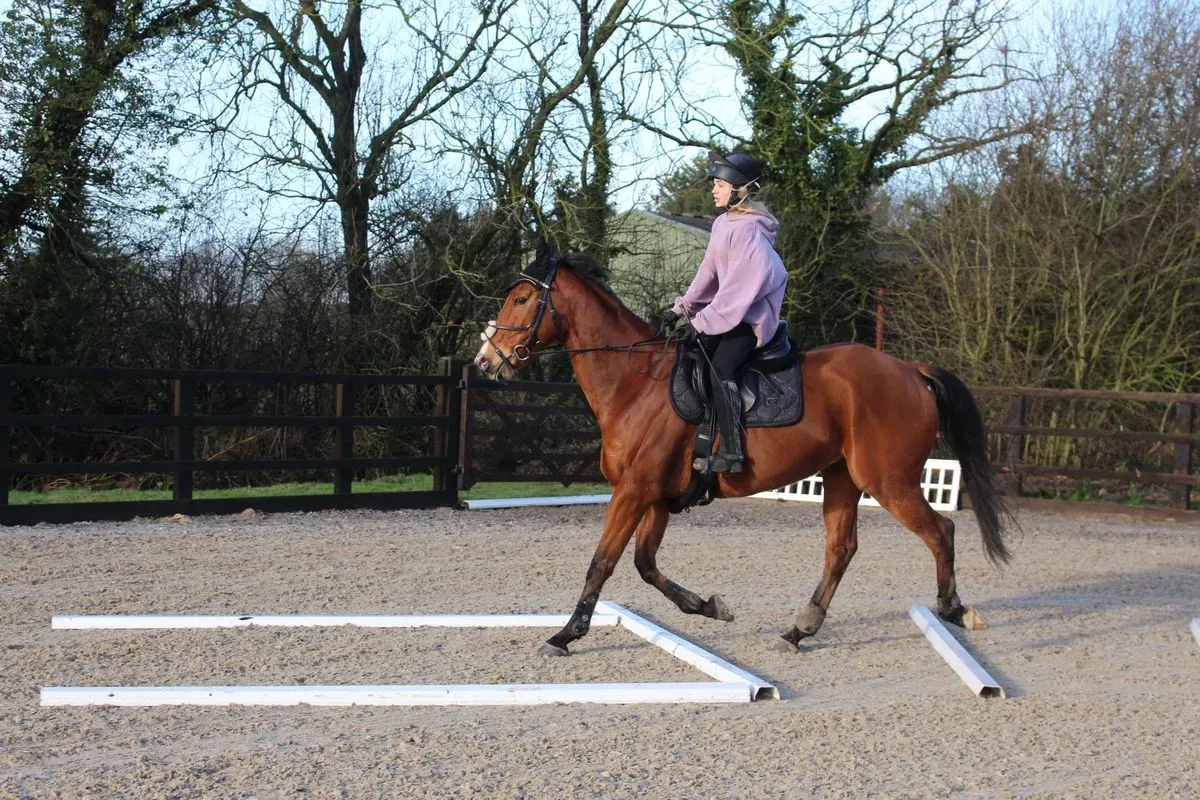 8225631326026-fn3qccdtz4bd74yf5596g-IMG-9088 thumbnail image