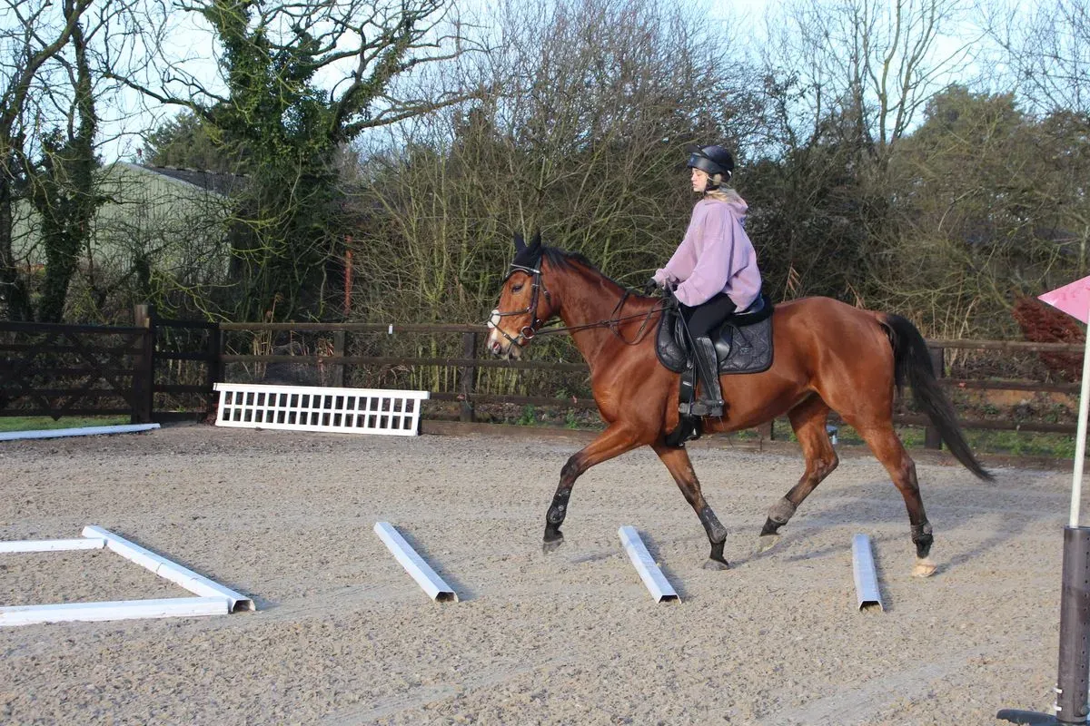 8225631355295-9zuhyy5fwn6pybihovg2u-IMG-9086 thumbnail image