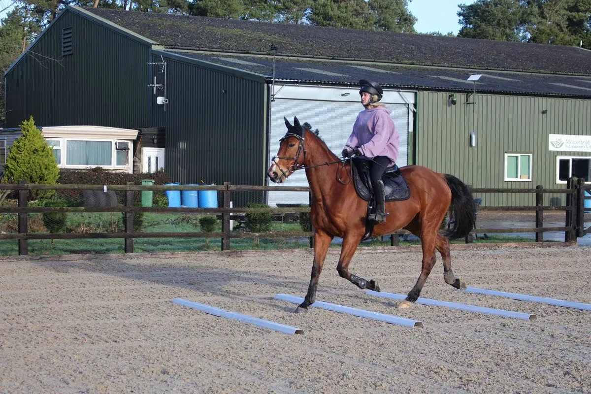 8225631399566-4aj02w7af0u57fz30ou6aw-IMG-9083 thumbnail image