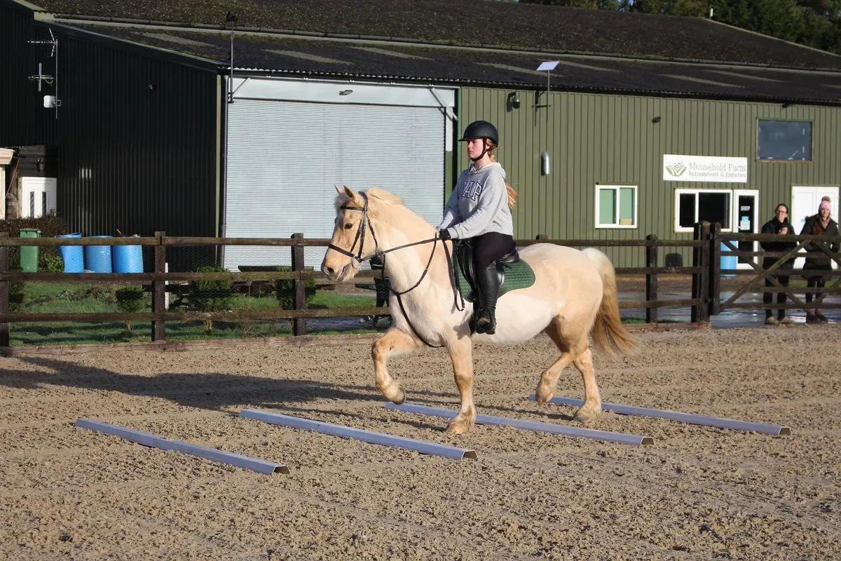 8225631437719-ke9i3skampagb38n2vcm-IMG-9077 thumbnail image