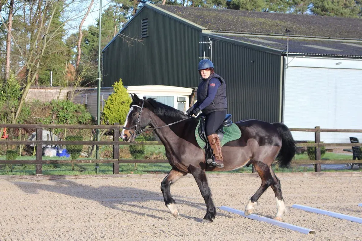 8225631493568-b1sht189obpmc0lx4to2n-IMG-9072 thumbnail image