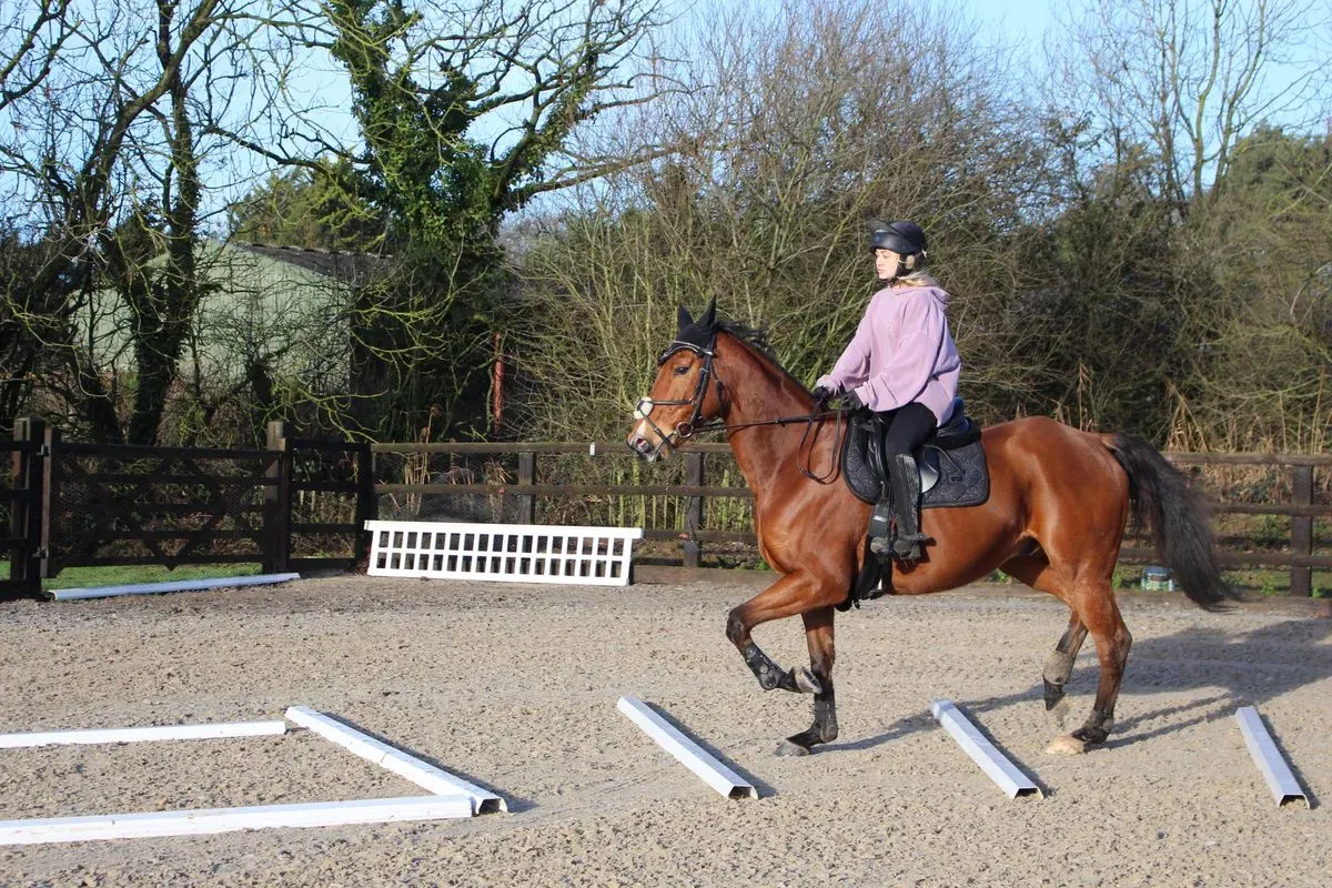 8225631531050-cwkwkifg8ewnfx66a94oj-IMG-9063 thumbnail image