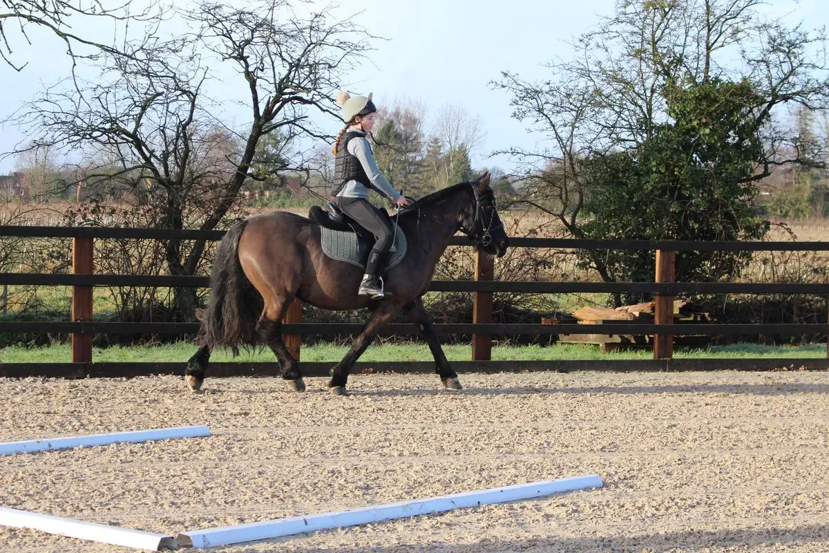 8225631556949-hnvfoykztwt0i84vygyxyuv-IMG-9053 thumbnail image