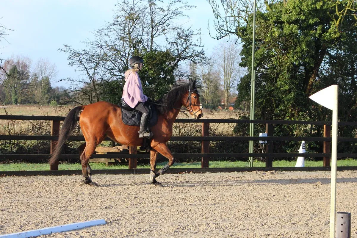 8225631594800-q27cesio8k646vx59r1hh-IMG-9051 thumbnail image