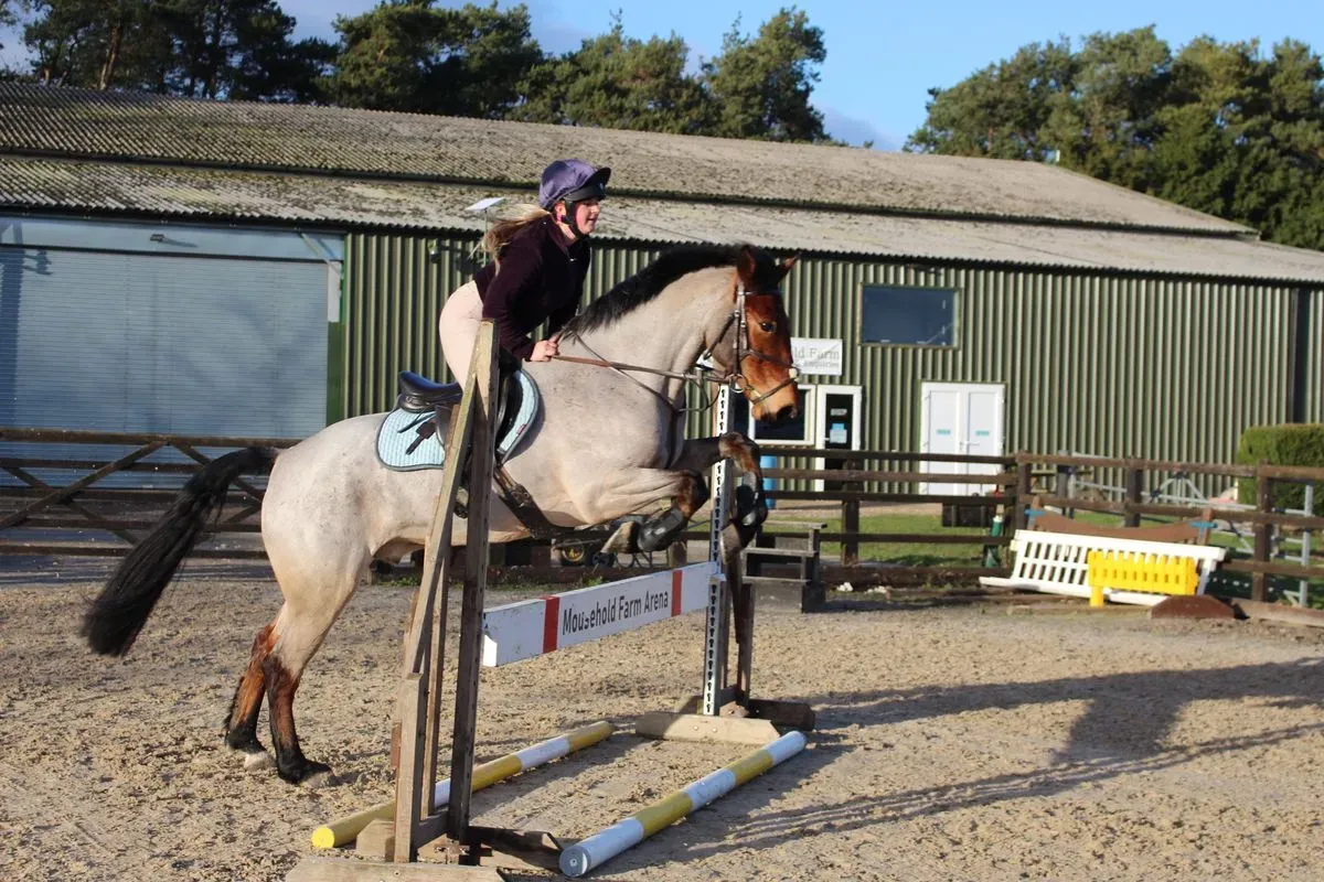 8225633852044-yb2syiqi3bq2bxoa59ywag-IMG-9037 thumbnail image