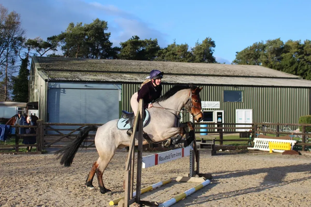 8225633892906-hothr7coypu26eez6gq52y-IMG-9035 thumbnail image