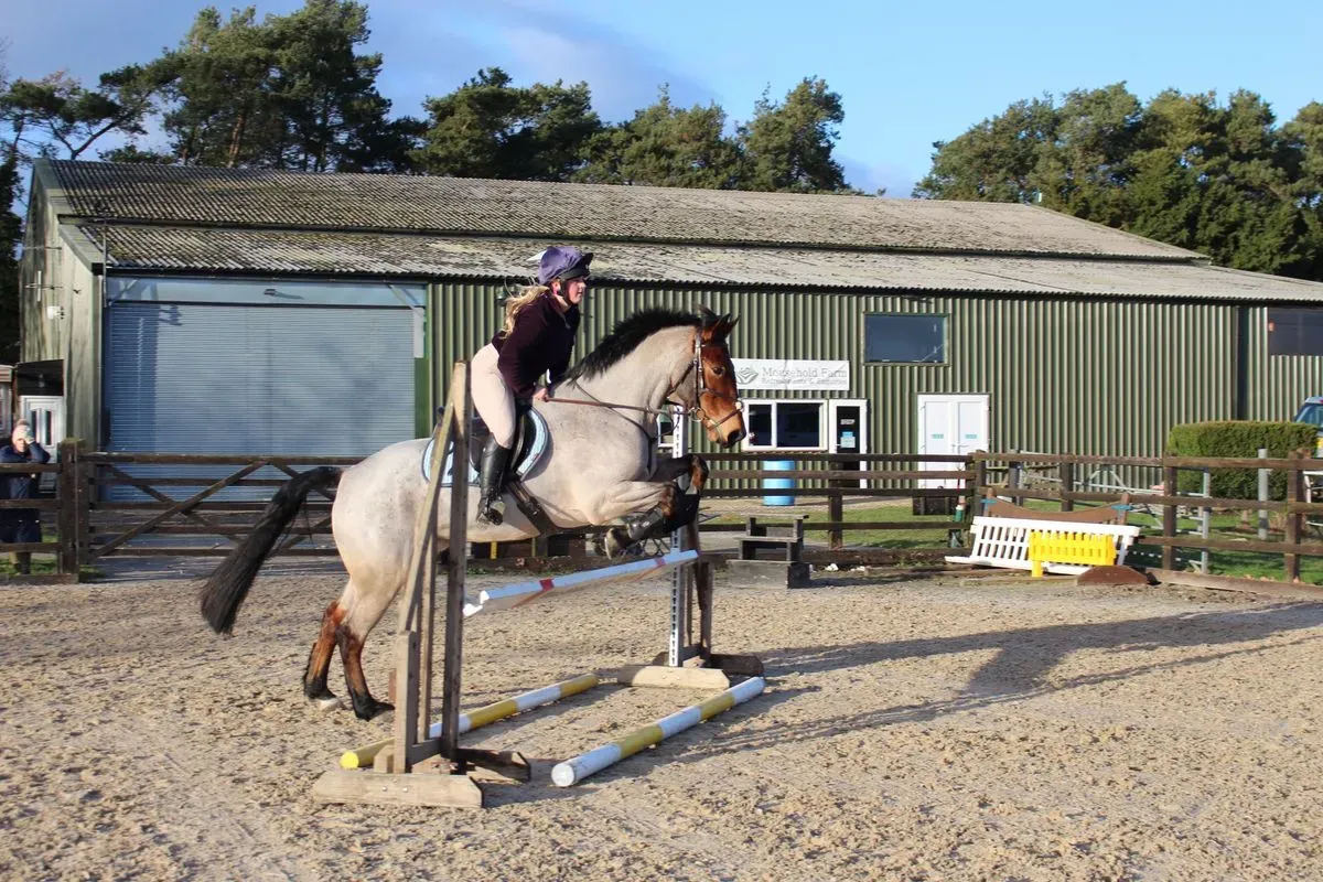 8225633955738-k1fdc8u1gtj1eer9hq0g0p-IMG-9033 thumbnail image