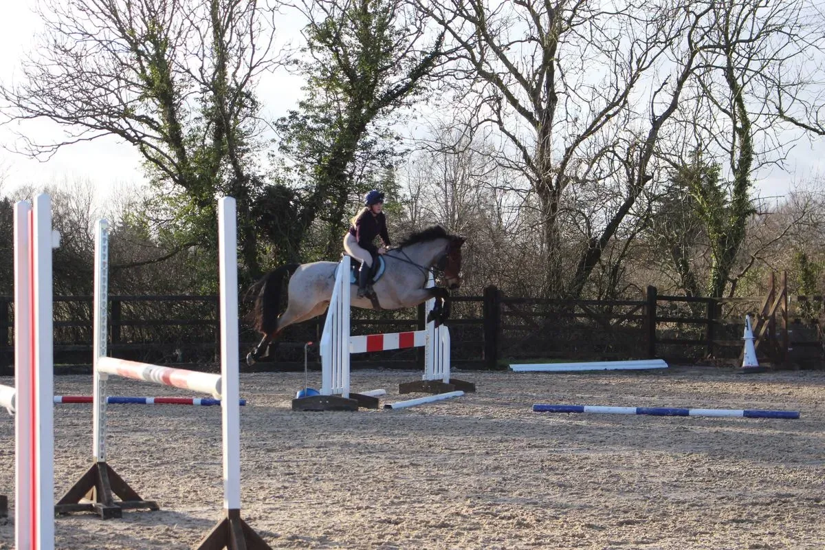 8225633995761-0tjizx4yyro8g166vtr4q8-IMG-9030 thumbnail image