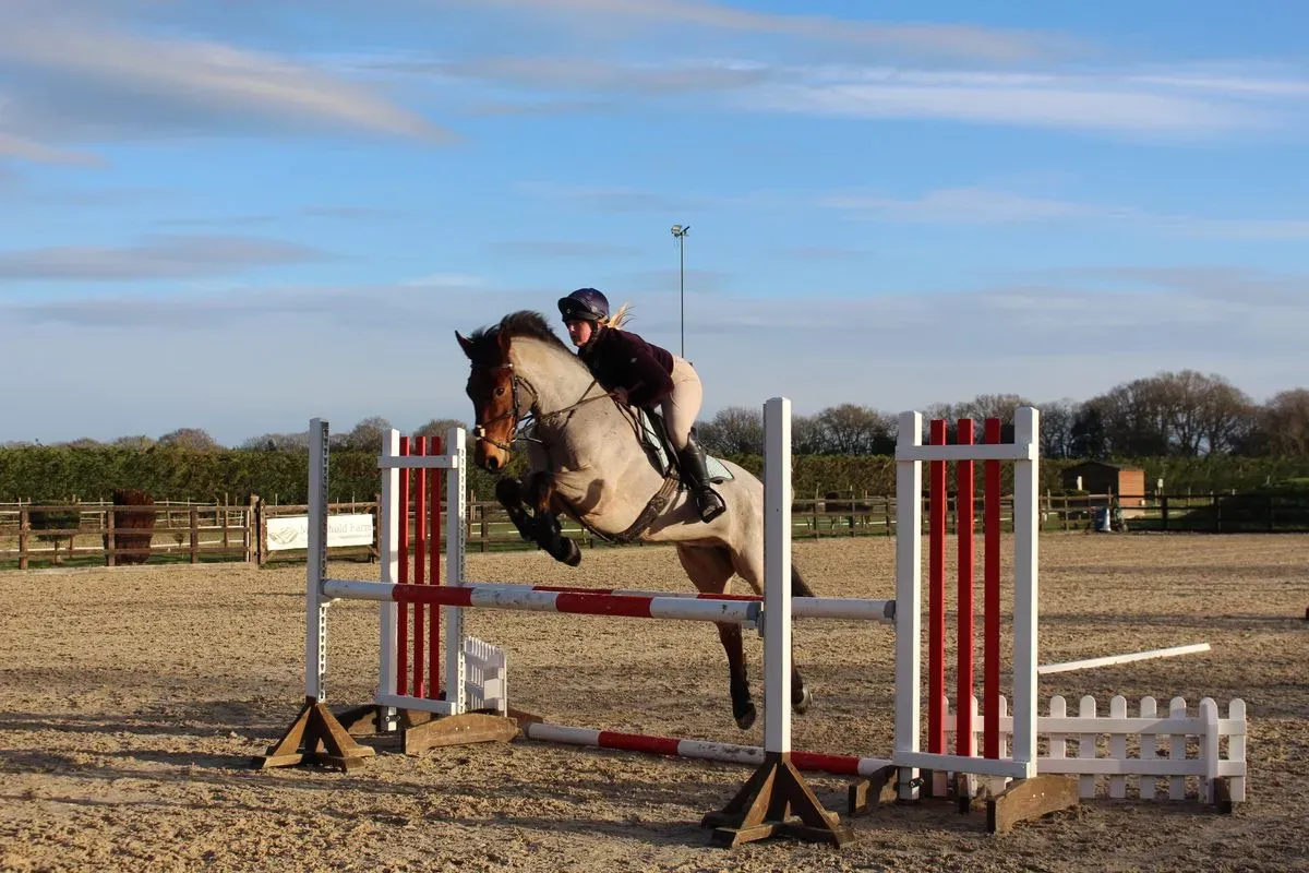 8225634112398-981qzfd4bwdscj0uia8hrc-IMG-9029 thumbnail image