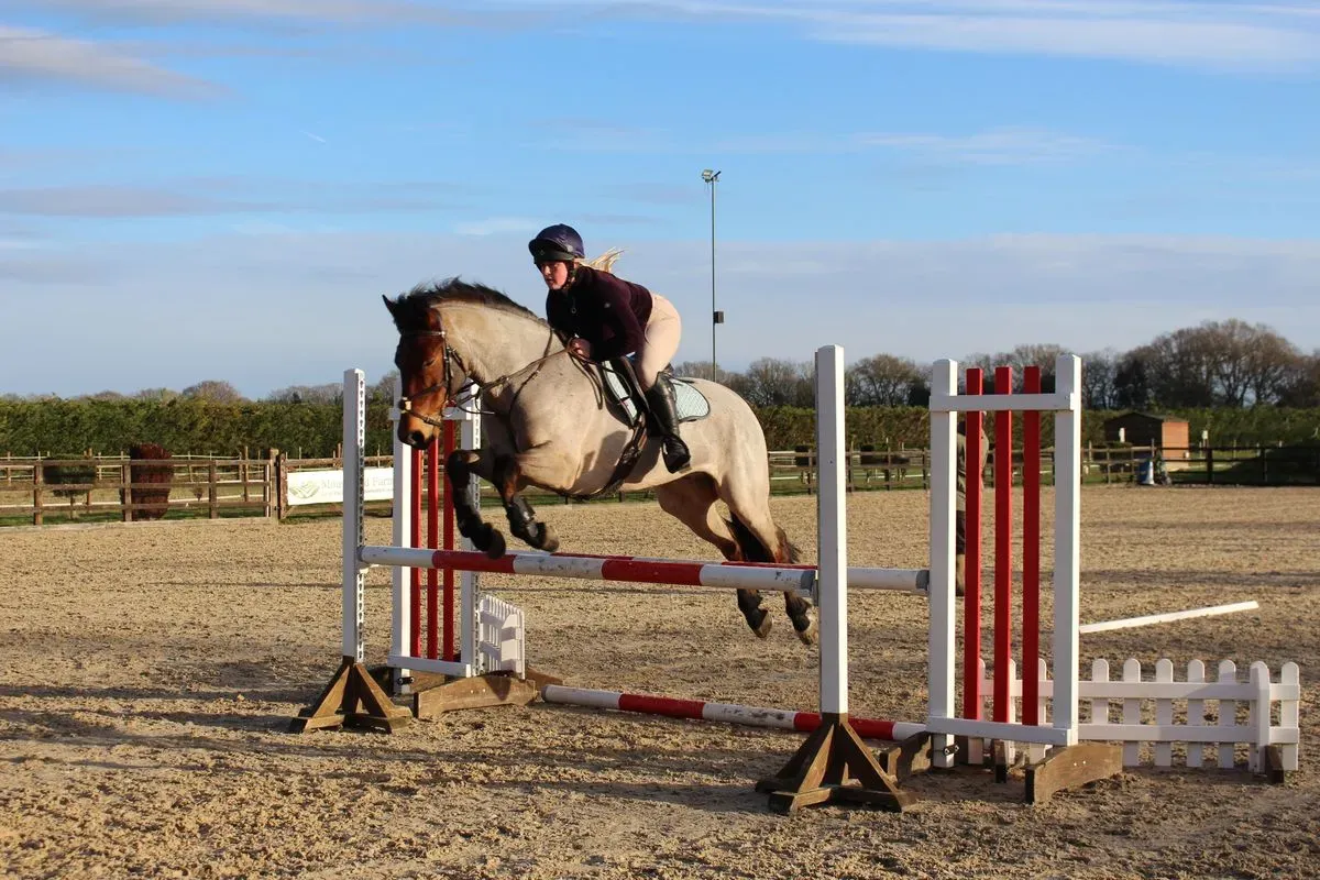 8225634152224-p9k7x4mrr3hokj8o38jph-IMG-9026 thumbnail image