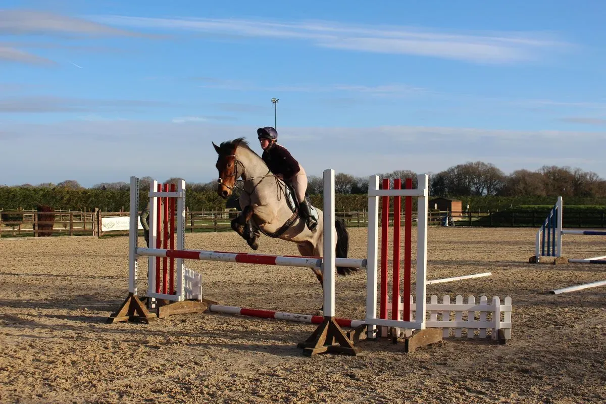 8225634204904-dgctvvg012l5vnjndi30qo-IMG-9022 thumbnail image