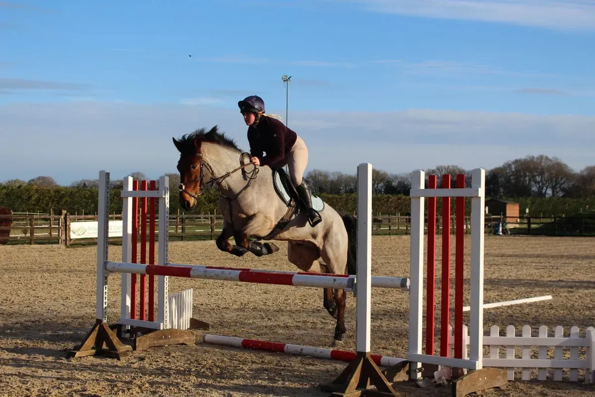 8225634227390-80pzqtxhyyhnrs2p9ihee-IMG-9015 thumbnail image