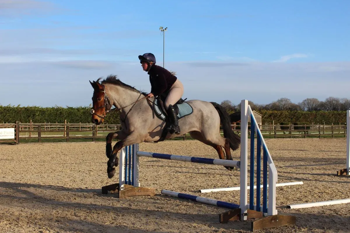 8225634271521-ee9i7vw3wt9ow5xu6fvqa-IMG-9011 thumbnail image