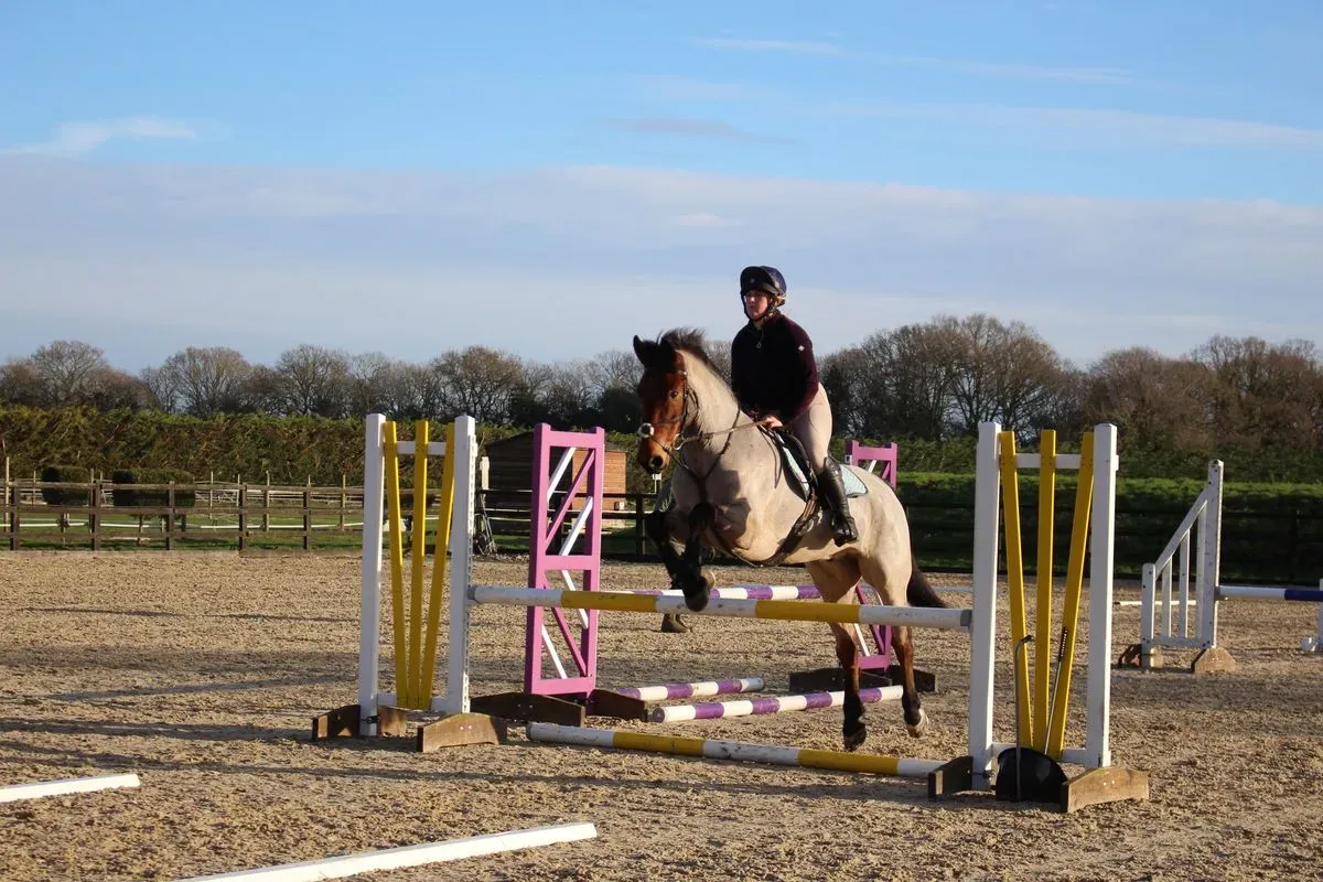 8225634304081-dm8k2kjn1qehijk1m0bjml-IMG-9009 thumbnail image