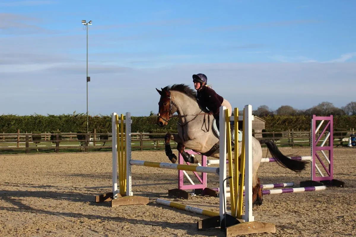 8225634346198-vzo79ie8s3sb3myrr3u-IMG-9008 thumbnail image