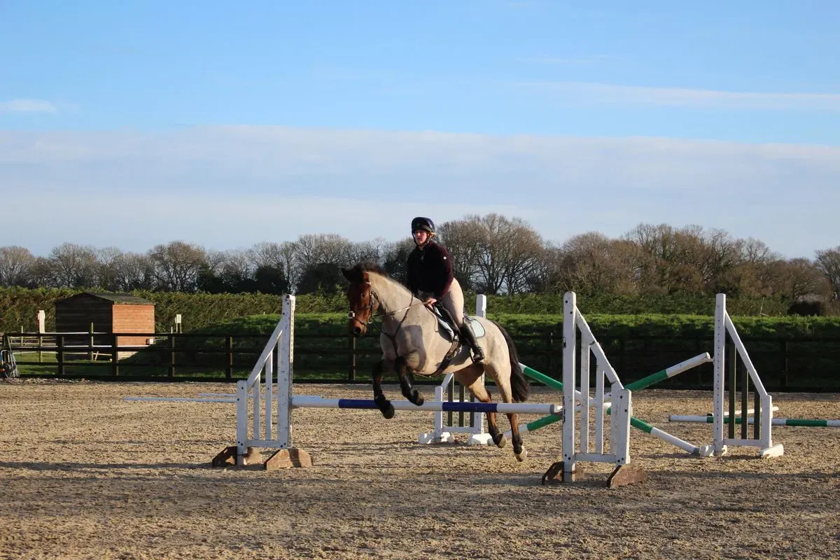 8225634401132-6mt1ilo8b7u2irgy9hpwhj-IMG-9007 thumbnail image