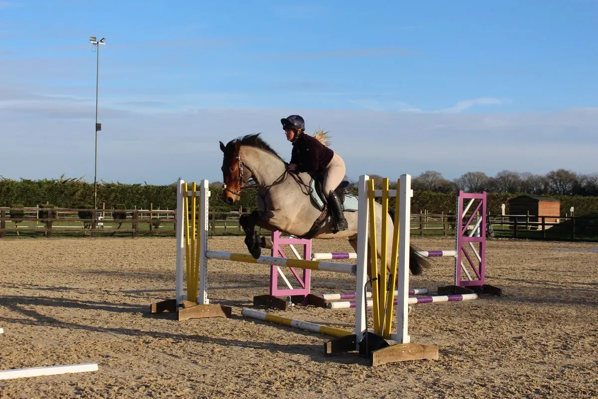 8225634440200-ujwlpb8evfjx7vhdvstgrh-IMG-9006 thumbnail image