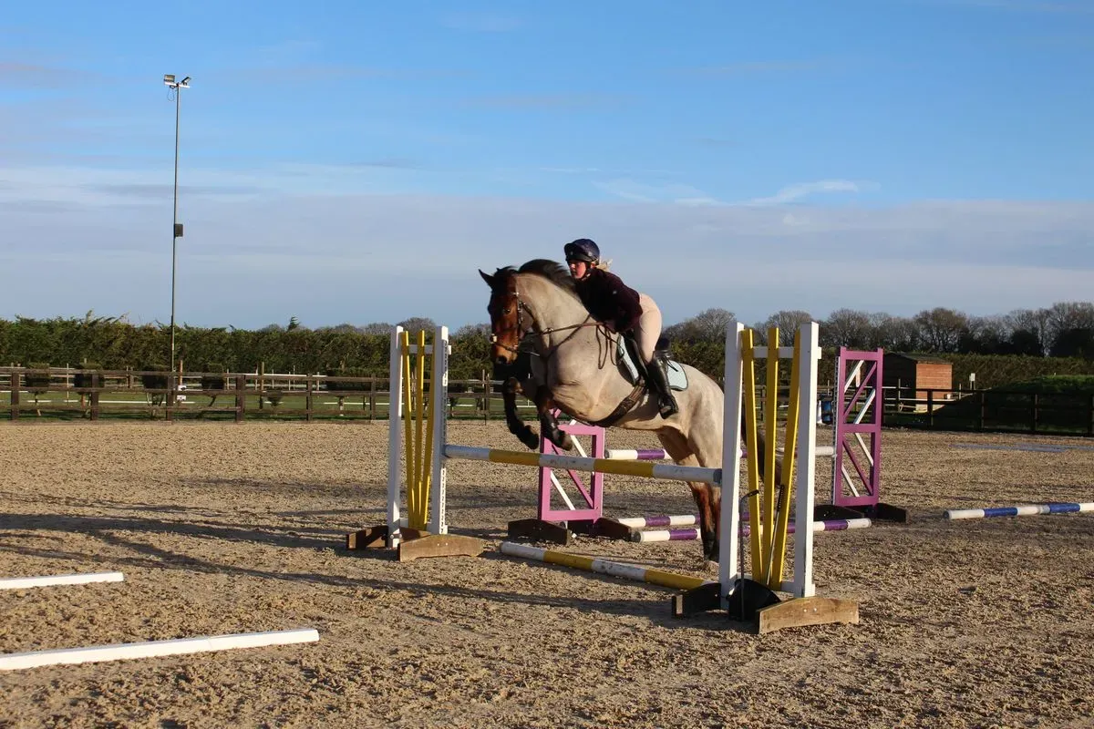 8225634490063-7sgb5eyhv6c45lxp7xfjn5-IMG-9004 thumbnail image