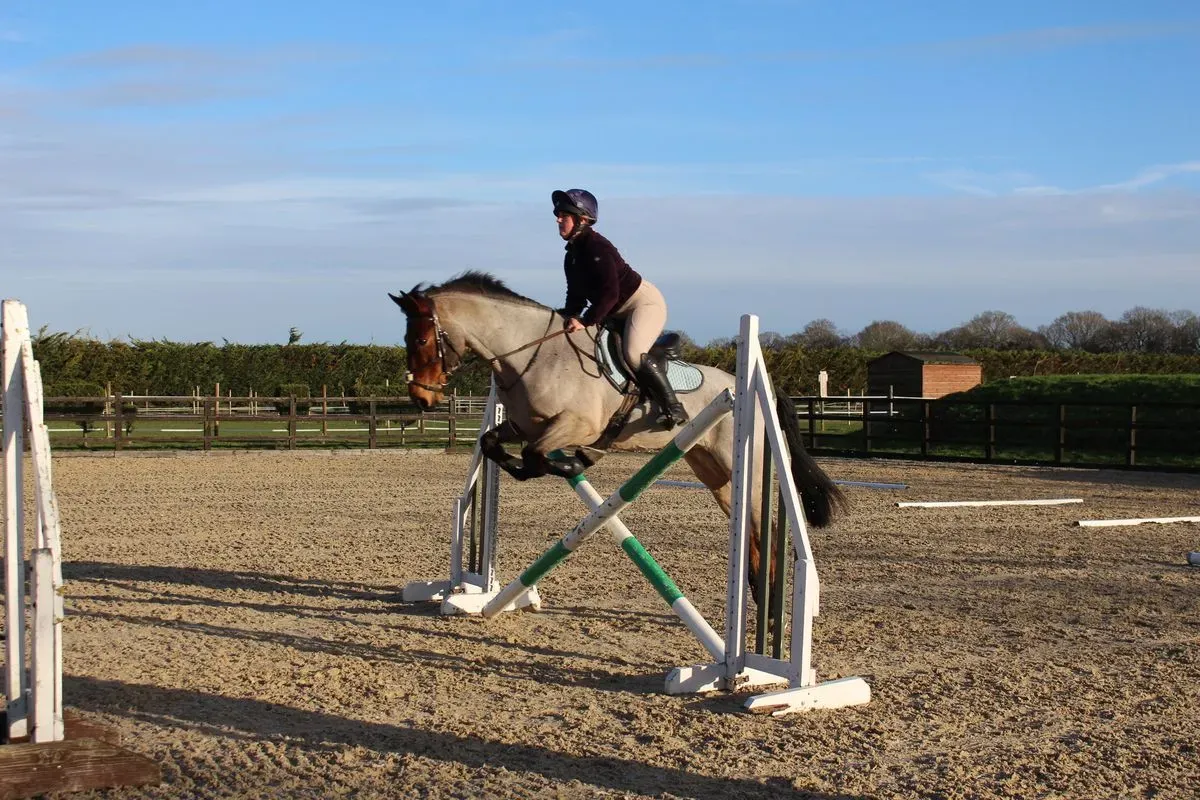 8225634582932-1xkpfqmburvtc39j6z6ewl-IMG-9002 thumbnail image