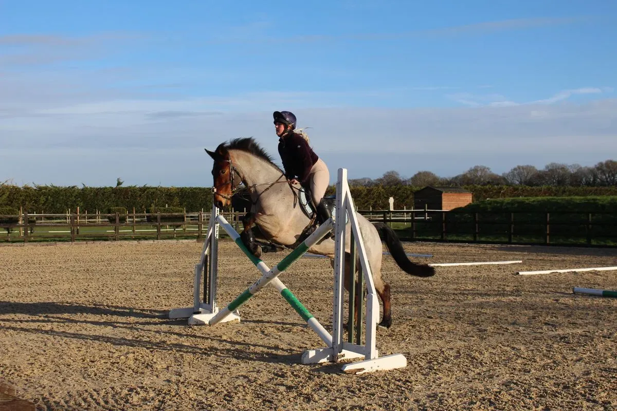 8225634646508-4grz24xi6wn6mt1j7pplal-IMG-9001 thumbnail image