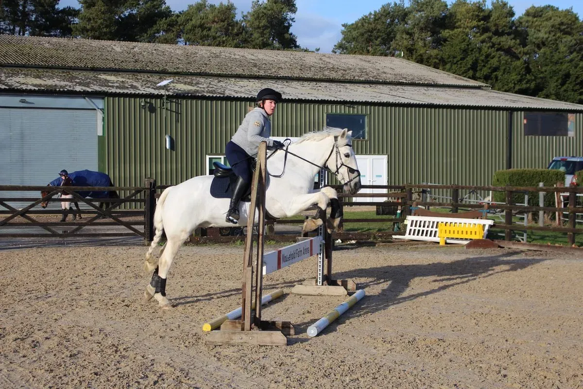 8225634941065-dpuenr8dg8p49bwwy4nd28-IMG-8991 thumbnail image