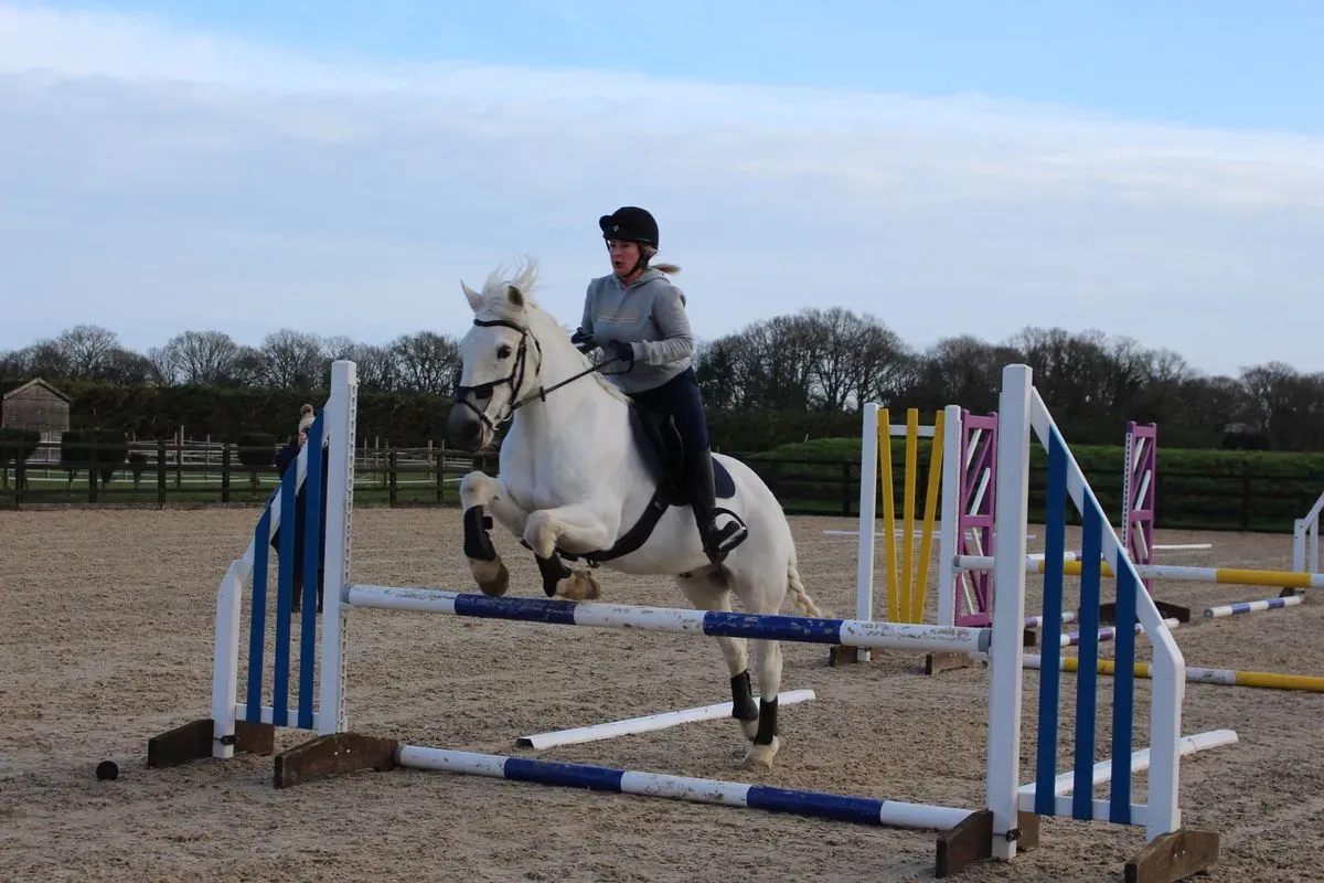 8225634974679-4oykssk5z8w4s7my127xn-IMG-8984 thumbnail image