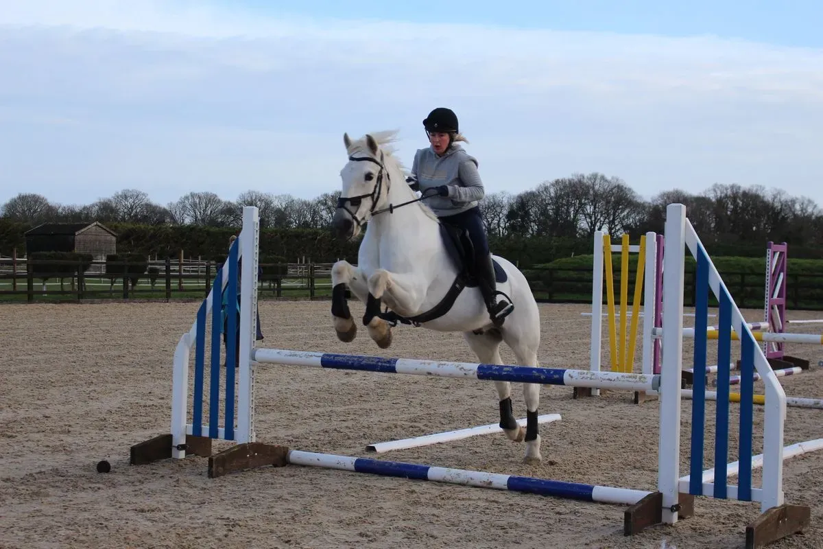 8225635024670-daqvw4jex3kjsrne9i0rb-IMG-8983 thumbnail image