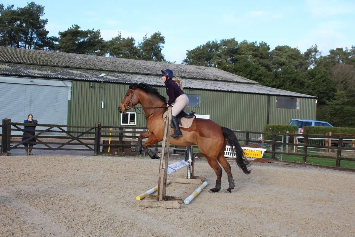 8225635061341-m7jes81spcp1ro8sxdxxo5j-IMG-8954 thumbnail image